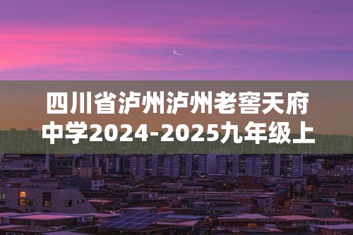 四川省泸州泸州老窖天府中学2024-2025九年级上学期期中考试化学试题（A卷）（无答案）