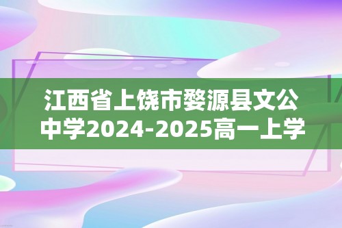 江西省上饶市婺源县文公中学2024-2025高一上学期11月月考 化学试题（答案）