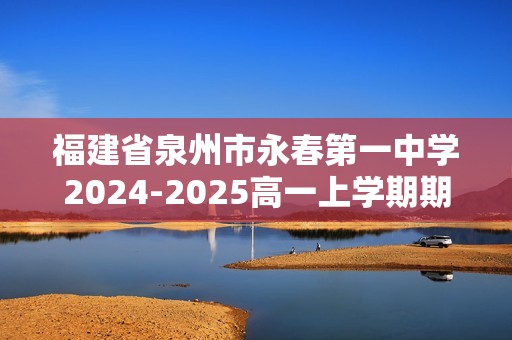 福建省泉州市永春第一中学2024-2025高一上学期期中考试化学试卷（答案）