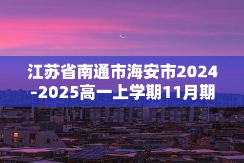 江苏省南通市海安市2024-2025高一上学期11月期中考试化学试卷（答案）