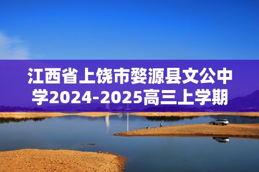 江西省上饶市婺源县文公中学2024-2025高三上学期11月月考 化学试题（答案）