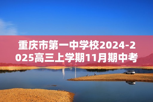 重庆市第一中学校2024-2025高三上学期11月期中考试化学试题（答案）