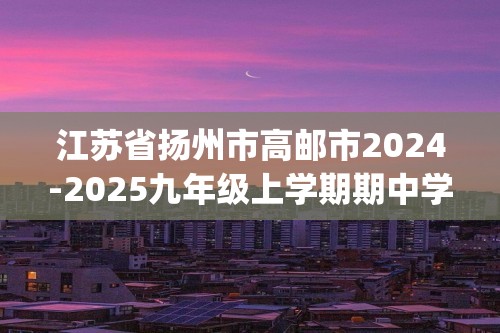 江苏省扬州市高邮市2024-2025九年级上学期期中学业质量监测化学试卷(答案)