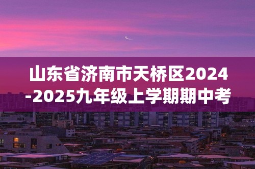 山东省济南市天桥区2024-2025九年级上学期期中考试化学试卷(含答案）