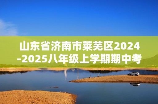 山东省济南市莱芜区2024-2025八年级上学期期中考试化学试题（图片版含答案）