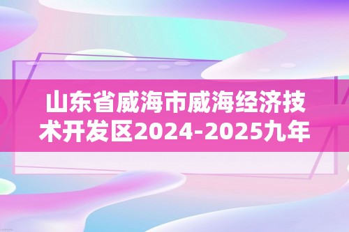 山东省威海市威海经济技术开发区2024-2025九年级（五四学制）上学期11月期中考试化学试题（答案）