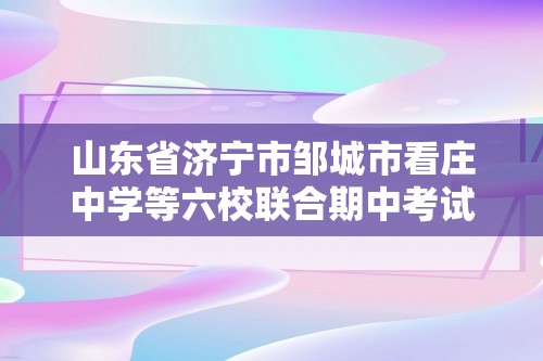 山东省济宁市邹城市看庄中学等六校联合期中考试化学试题（图片版含答案）