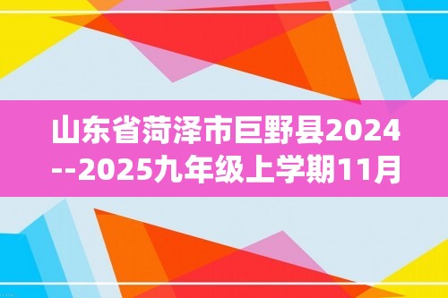 山东省菏泽市巨野县2024--2025九年级上学期11月期中化学试题(答案)