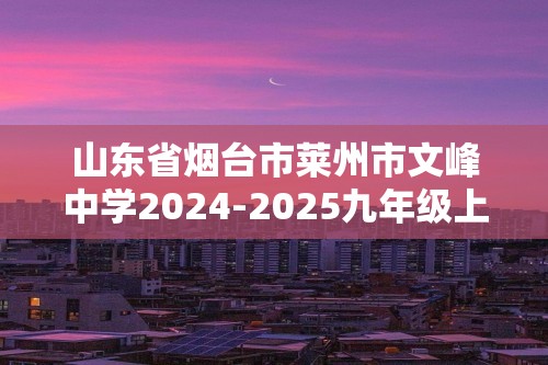 山东省烟台市莱州市文峰中学2024-2025九年级上学期期中考试化学试卷（答案）