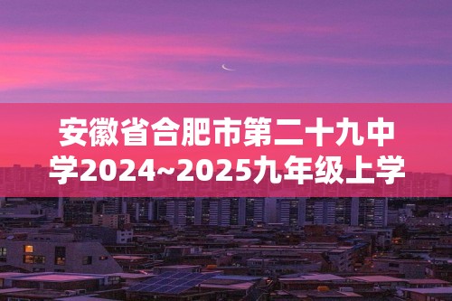 安徽省合肥市第二十九中学2024~2025九年级上学期11月份月考化学试题（答案）