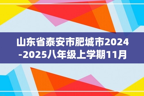 山东省泰安市肥城市2024-2025八年级上学期11月期中考试化学试题(图片版,含答案)