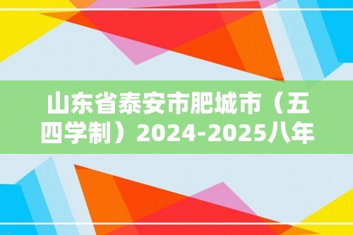 山东省泰安市肥城市（五四学制）2024-2025八年级上学期11月期中考试化学试题（答案）