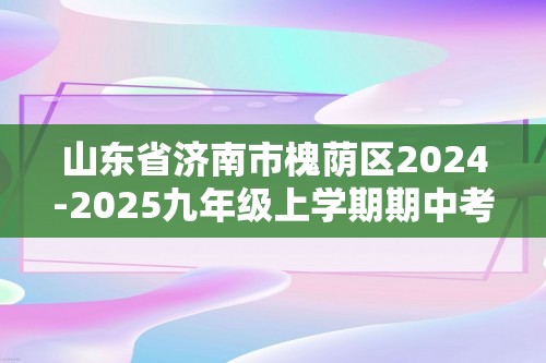 山东省济南市槐荫区2024-2025九年级上学期期中考试化学试卷（答案）