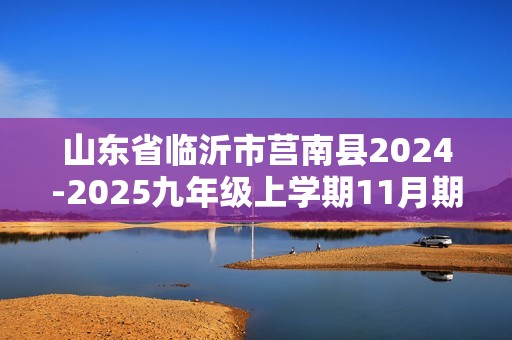 山东省临沂市莒南县2024-2025九年级上学期11月期中化学试题（答案）