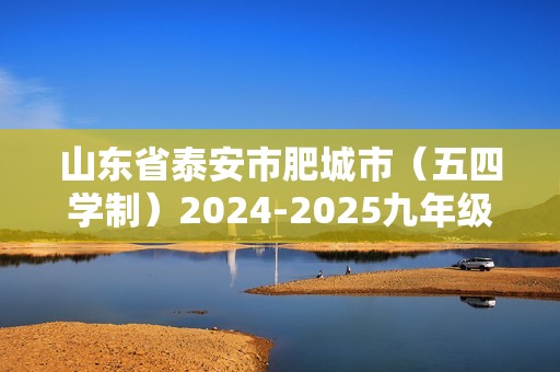 山东省泰安市肥城市（五四学制）2024-2025九年级上学期11月期中考试化学试题（答案）