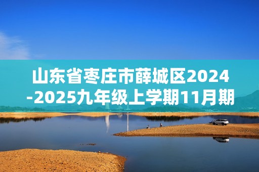 山东省枣庄市薛城区2024-2025九年级上学期11月期中考试化学试题（答案）