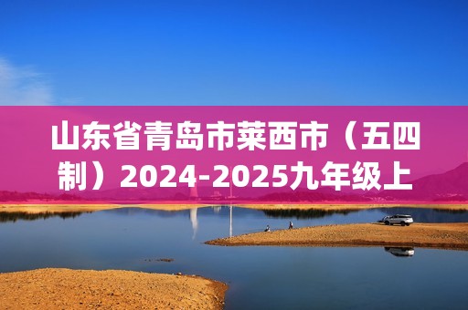 山东省青岛市莱西市（五四制）2024-2025九年级上学期期中考试化学试题(图片版,含答案)