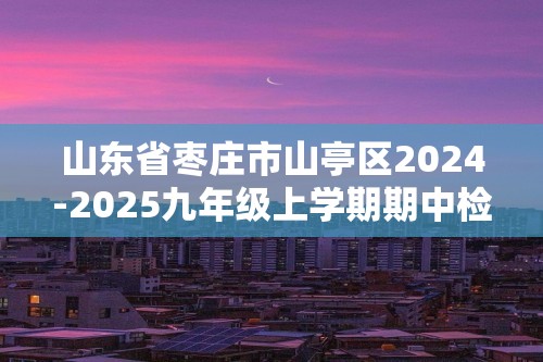 山东省枣庄市山亭区2024-2025九年级上学期期中检测化学试卷（答案）