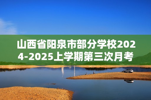 山西省阳泉市部分学校2024-2025上学期第三次月考九年级化学试卷（答案）