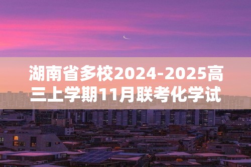 湖南省多校2024-2025高三上学期11月联考化学试题（答案）