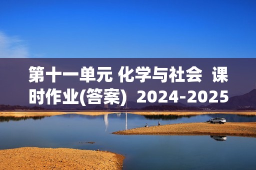 第十一单元 化学与社会  课时作业(答案)  2024-2025化学人教版九年级下册