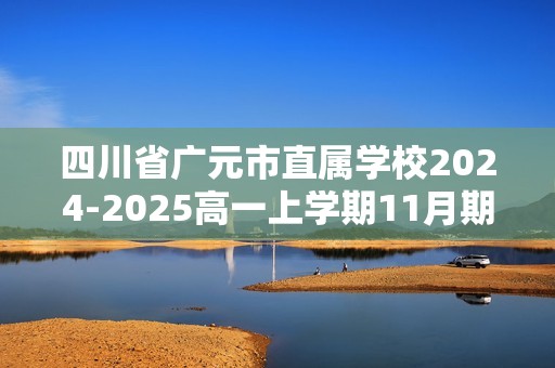 四川省广元市直属学校2024-2025高一上学期11月期中考试 化学试题（答案）