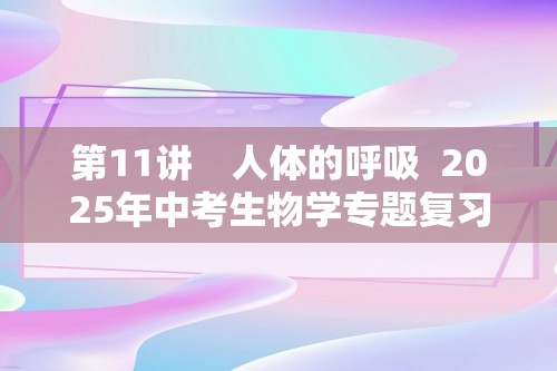 第11讲　人体的呼吸  2025年中考生物学专题复习（河北）（答案）