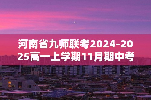 河南省九师联考2024-2025高一上学期11月期中考试 化学试题（答案）