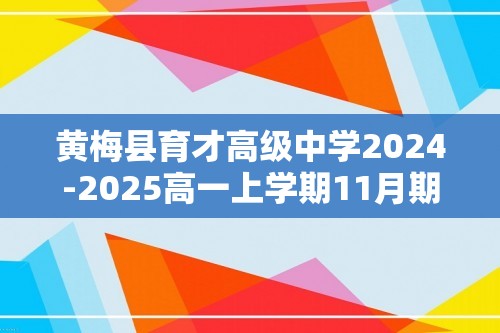 黄梅县育才高级中学2024-2025高一上学期11月期中考试化学试卷（图片版无答案）