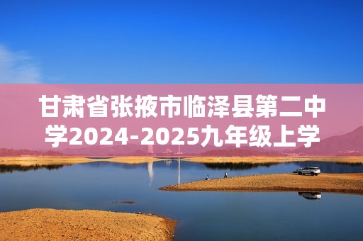 甘肃省张掖市临泽县第二中学2024-2025九年级上学期期中考试化学试卷（答案）