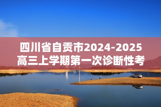 四川省自贡市2024-2025高三上学期第一次诊断性考试 化学试题（答案）