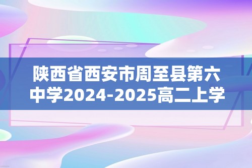 陕西省西安市周至县第六中学2024-2025高二上学期11月期中考试化学试题（答案）