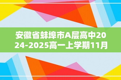 安徽省蚌埠市A层高中2024-2025高一上学期11月期中考试化学试卷（（图片版含答案））