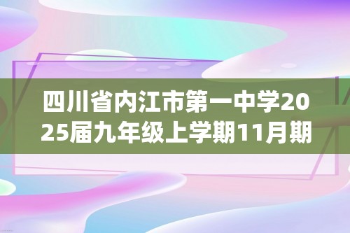 四川省内江市第一中学2025届九年级上学期11月期中考试化学试卷(答案)