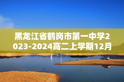 黑龙江省鹤岗市第一中学2023-2024高二上学期12月月考 化学试题（答案）