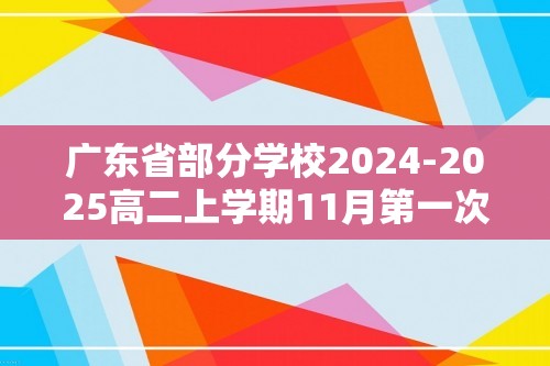 广东省部分学校2024-2025高二上学期11月第一次联考 化学试题（答案）