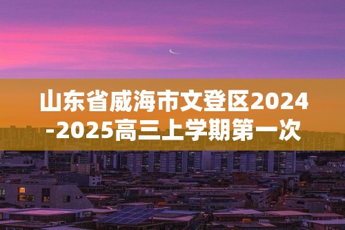 山东省威海市文登区2024-2025高三上学期第一次模拟化学试题（答案）