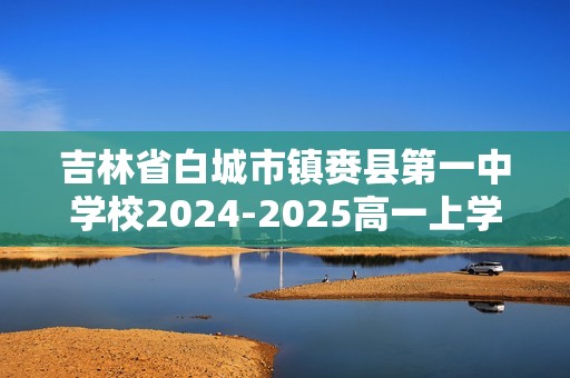 吉林省白城市镇赉县第一中学校2024-2025高一上学期第三次月考 化学试卷（答案）