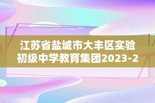 江苏省盐城市大丰区实验初级中学教育集团2023-2024九年级上学期12月月考化学试题（答案）