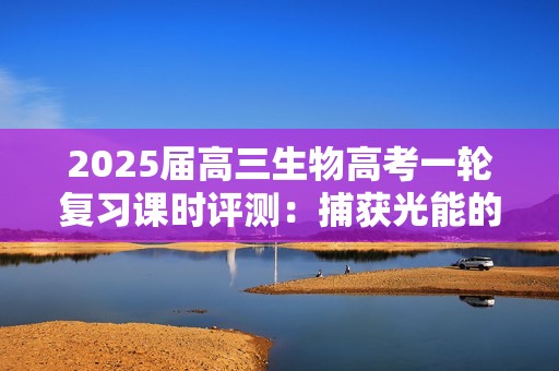 2025届高三生物高考一轮复习课时评测：捕获光能的色素和结构及光合作用过程（含解析）