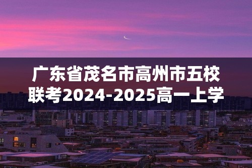 广东省茂名市高州市五校联考2024-2025高一上学期12月月考化学试题（答案）