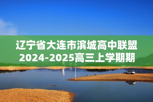 辽宁省大连市滨城高中联盟2024-2025高三上学期期中Ⅱ考试化学试卷（答案）