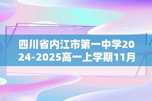 四川省内江市第一中学2024-2025高一上学期11月期中化学试题（答案）