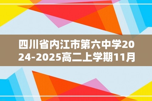 四川省内江市第六中学2024-2025高二上学期11月期中考试化学试题（答案）