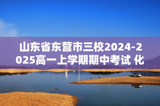 山东省东营市三校2024-2025高一上学期期中考试 化学试卷（答案）