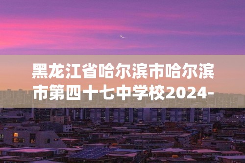 黑龙江省哈尔滨市哈尔滨市第四十七中学校2024-2025度上学期11月份调查问卷初四化学试卷(图片版,无答案)