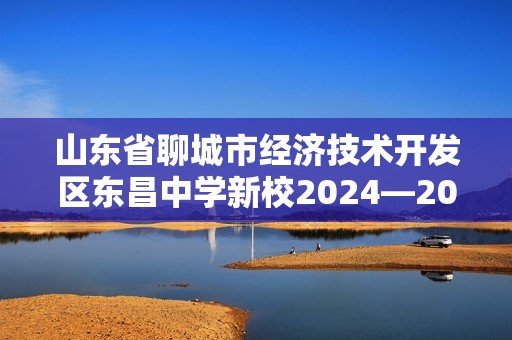 山东省聊城市经济技术开发区东昌中学新校2024—2025九年级上学期期中考试化学试题（无答案）