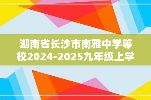 湖南省长沙市南雅中学等校2024-2025九年级上学期第三次质量检测化学试题（图片版含答案）