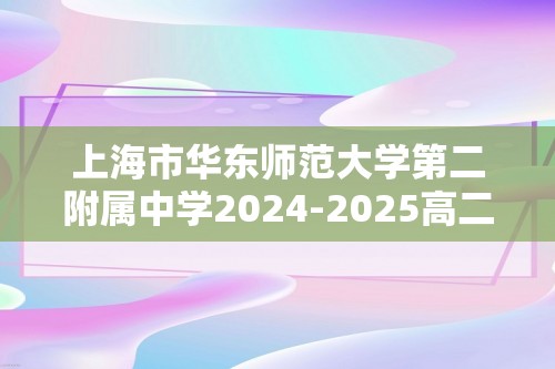 上海市华东师范大学第二附属中学2024-2025高二上学期12月阶段检测 化学试卷（答案）