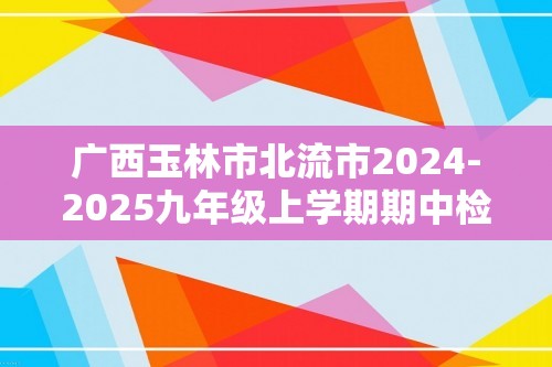 广西玉林市北流市2024-2025九年级上学期期中检测化学试题（答案）